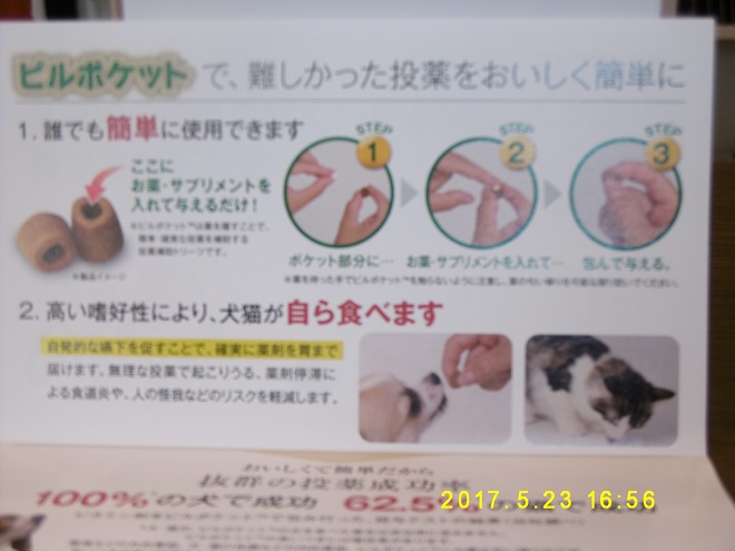 ピルポケット って 艸 ユア動物病院 神戸市垂水区 犬 猫 ウサギ フェレットなどの診療